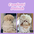 Confetti Polish